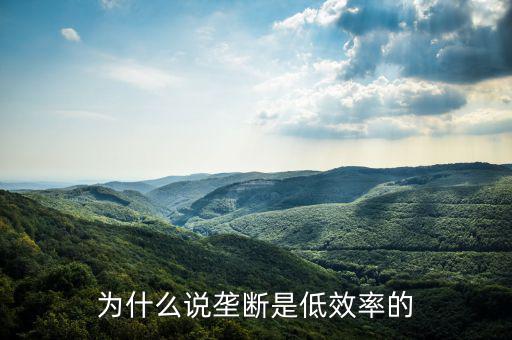 壟斷的無效率是什么，為什么說壟斷會(huì)導(dǎo)致低效率