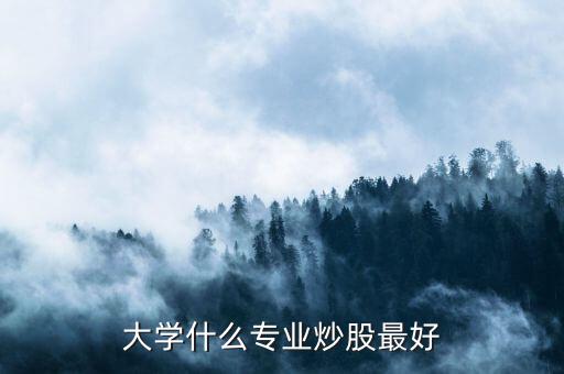 大學(xué)什么專(zhuān)業(yè)炒股最好