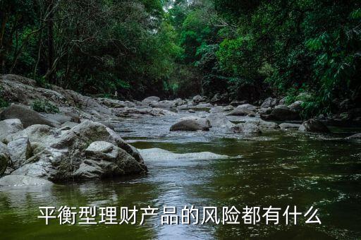 理才客戶風(fēng)險平衡型是什么意思，平安銀行評估平衡型是什么意思