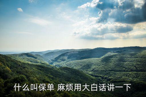 什么是保單，什么是保單