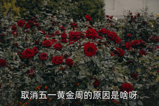 五一黃金周為什么取消，為什么取消五一黃金周