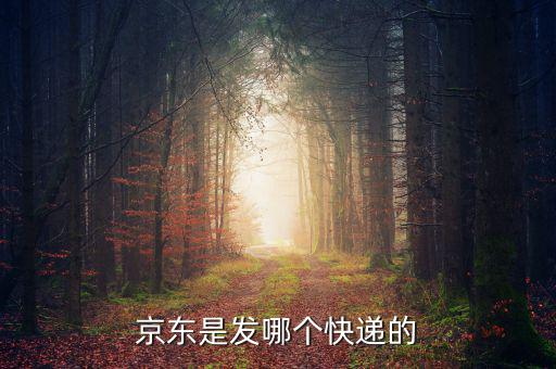 京東自營是發(fā)什么快遞，京東的自營產(chǎn)品一般發(fā)什么物流先謝謝大家了