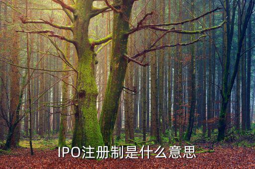 ipo注冊(cè)制是什么意思，IPO注冊(cè)制是什么意思和審批制有什么區(qū)別