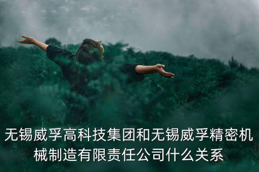 無錫威孚高科技集團和無錫威孚精密機械制造有限責任公司什么關(guān)系