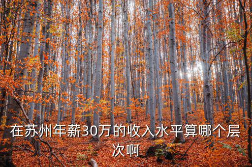 年薪三十萬元處于什么階層，在蘇州年薪30萬的收入水平算哪個層次啊