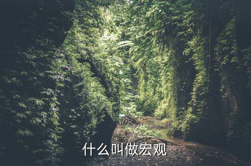 宏觀是指什么方面，什么叫做宏觀