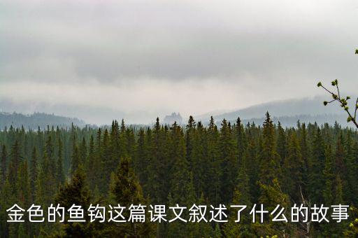 金這篇課文是一篇什么文，金子這篇課文使我們懂得了什么道理
