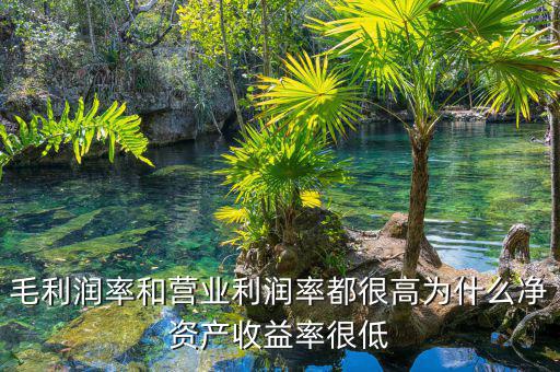 資產(chǎn)凈利率較低是為什么，為什么利潤率高資產(chǎn)收益率卻低