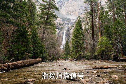 什么事指數(shù)信號，VOL代表什么意思呢MACD怎么看呢有是代表什么意思呢