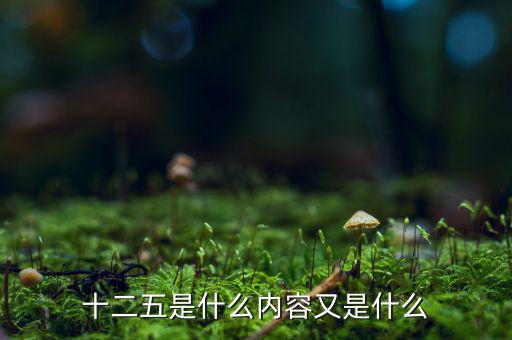十二五干什么，十二五是什么內(nèi)容又是什么