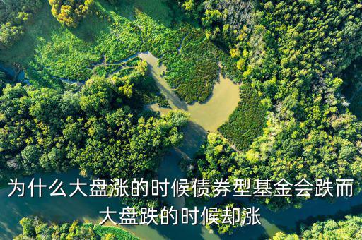 為什么大盤跌基金漲，為啥大盤漲基金反而跌基金又漲