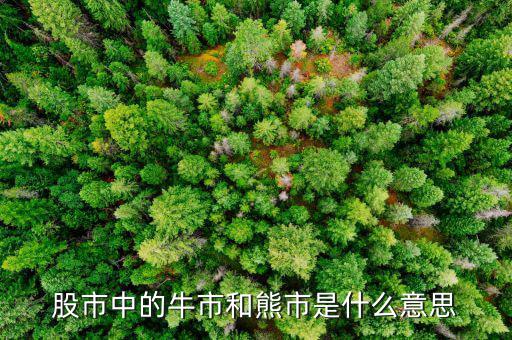 熊市的意思是什么，股市中的牛市和熊市是什么意思