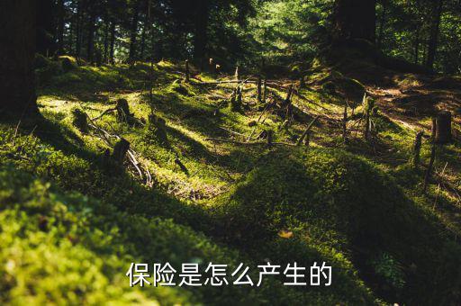 保險的原理是什么，保險是怎么產(chǎn)生的
