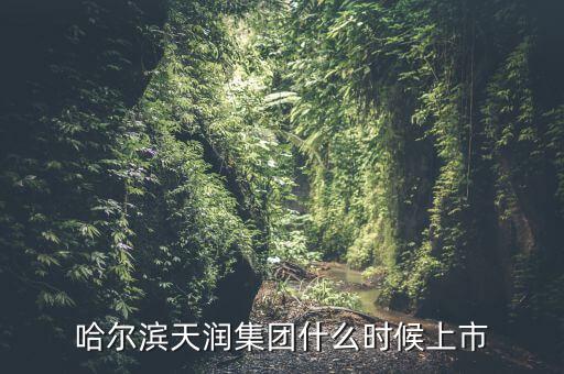 天潤乳業(yè)什么時候上市，哈爾濱天潤集團什么時候上市