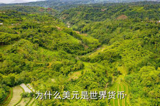 美元為什么是世界貨幣，為什么美元是世界貨幣