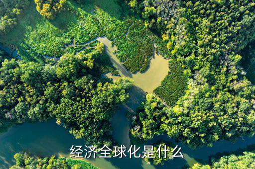 全球化風(fēng)險(xiǎn)包括什么，經(jīng)濟(jì)全球化是什么