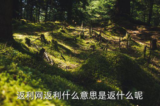 返傭網(wǎng)是什么意思，返傭網(wǎng)大概是什么意思