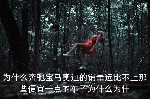 為什么奔馳寶馬奧迪的銷(xiāo)量遠(yuǎn)比不上那些便宜一點(diǎn)的車(chē)子為什么為什
