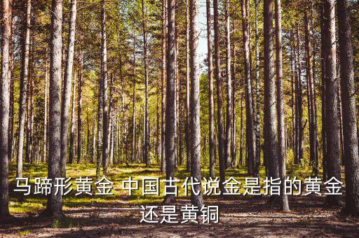 中國(guó)古代的黃金是什么，古代中國(guó)都使用了哪些金屬