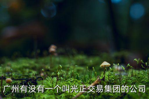 光正集團(tuán)股票公司主要生產(chǎn)什么，光正集團(tuán)股票是做什么板塊的