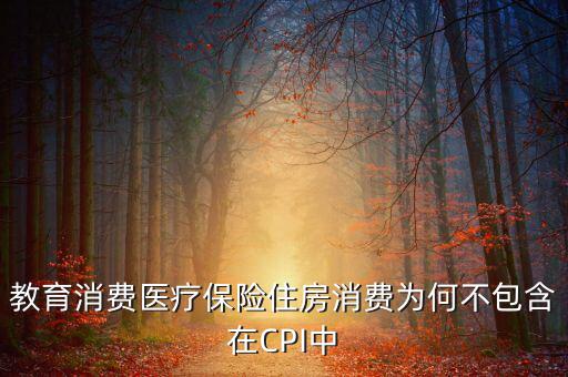 房價(jià)為什么不納入cpi，為什么在中國房價(jià)不算入CPI消費(fèi)水平也就是物價(jià)里面