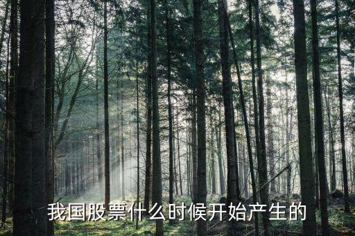 股票什么時候出來的，股票是什么時候出現(xiàn)的從世界范圍看
