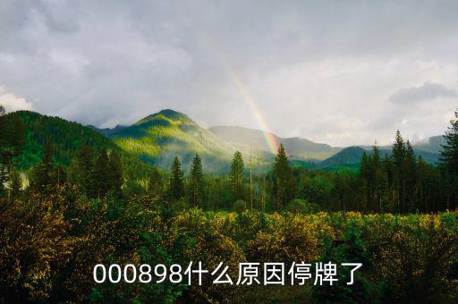 華資實(shí)業(yè)為什么停牌，000009今天為何停牌