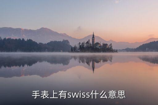 歐行手表什么意思，手表上有swiss什么意思