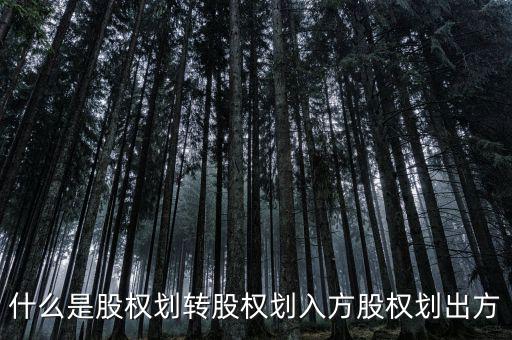 劃轉(zhuǎn)是什么意思，什么是股權(quán)劃轉(zhuǎn)股權(quán)劃入方股權(quán)劃出方
