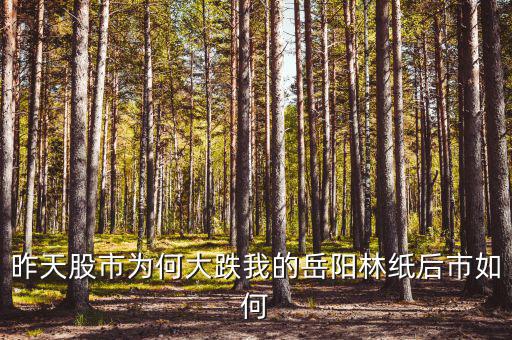 岳陽林紙為什么停牌，誰能告訴我這是怎么回事是停牌了嗎