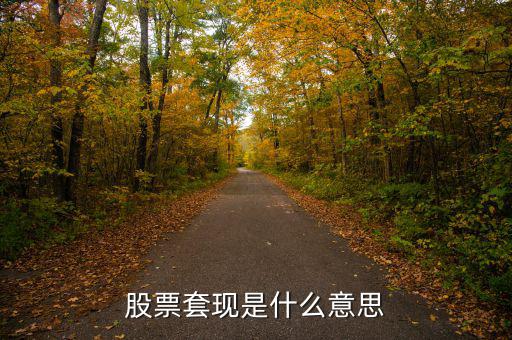 股票套現(xiàn)什么意思，股票當(dāng)中的套現(xiàn)是什么意思