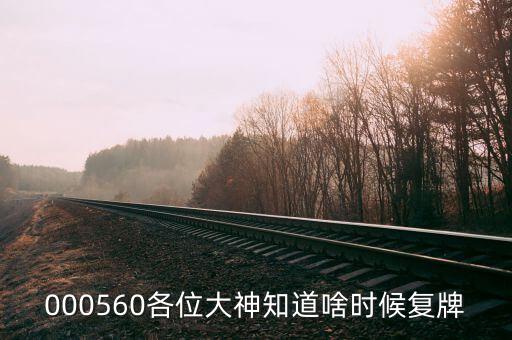 荃銀高科什么時候復牌，000560各位大神知道啥時候復牌