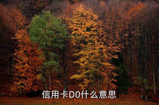 預(yù)付卡的贖回是什么意思，信用卡D0什么意思