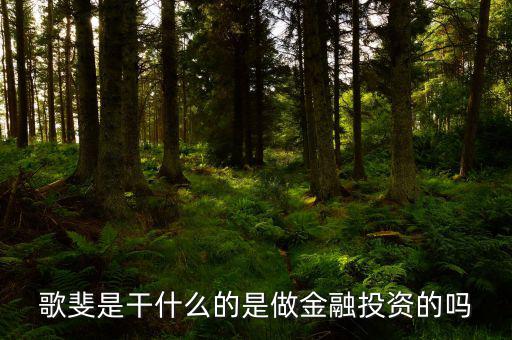歌斐資產(chǎn)為什么被處罰，歌斐資產(chǎn)怎么樣的