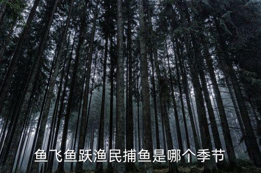 漁民捕魚一般是什么時候，魚飛魚躍漁民捕魚是哪個季節(jié)