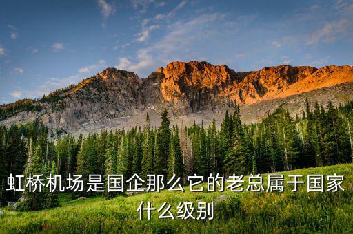 機場董事長什么級別，虹橋機場是國企那么它的老總屬于國家什么級別