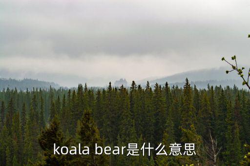 牛壓熊什么意思，tady bear是什么意思