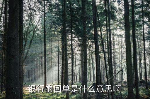 貸款資金回流什么意思，什么是貨款已付資金回流虛開發(fā)票