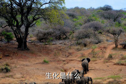 長安生化是什么呢，生化是指什么呀