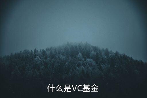 vc基金是什么，什么叫VC基金