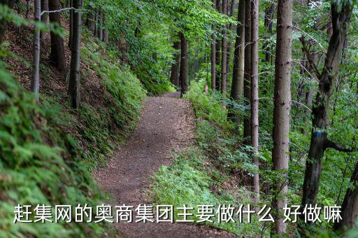 奧骨集團(tuán)是做什么的，趕集網(wǎng)的奧商集團(tuán)主要做什么 好做嘛