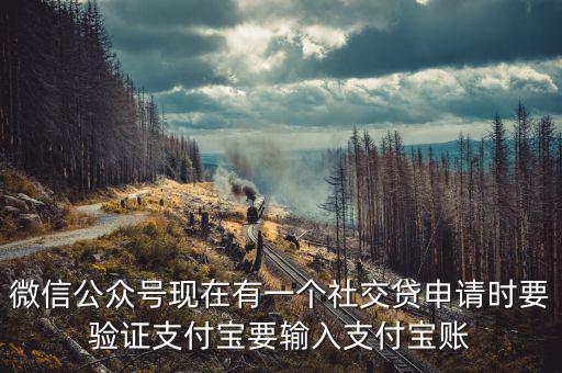 社交貸是什么意思，社交籌是什么
