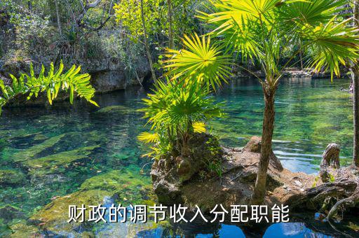 財政分配包括什么，向高手請教財政再分配都包括什么