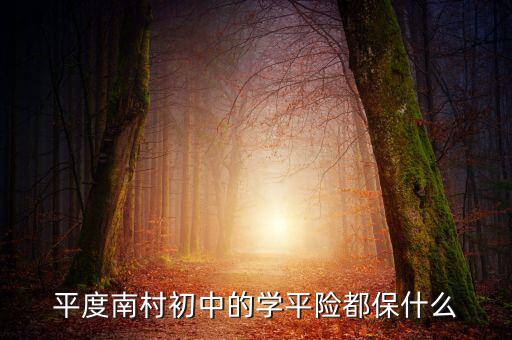 學(xué)平險保些什么，中國人壽60元的學(xué)平險保什么