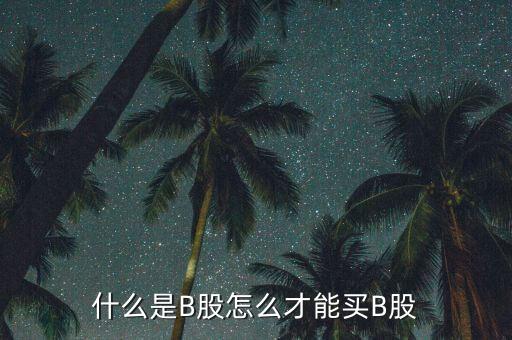 什么是b股賬戶，A股B股帳戶問題