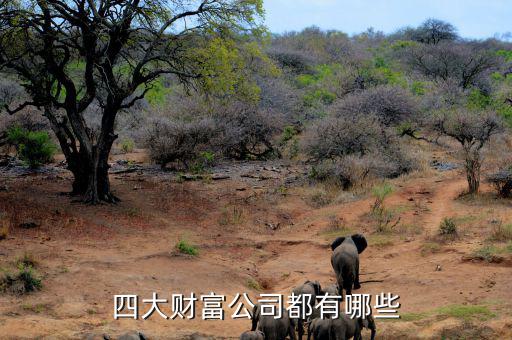 重啤集團還有什么資產，四大財富公司都有哪些