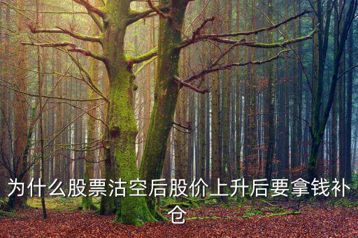 為什么股票沽空后股價(jià)上升后要拿錢補(bǔ)倉