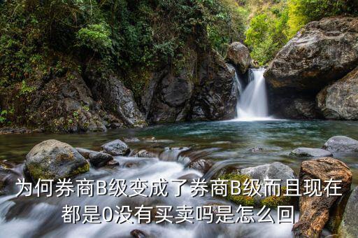 券商B級為什么賣不掉，證券b級怎么沒有交易