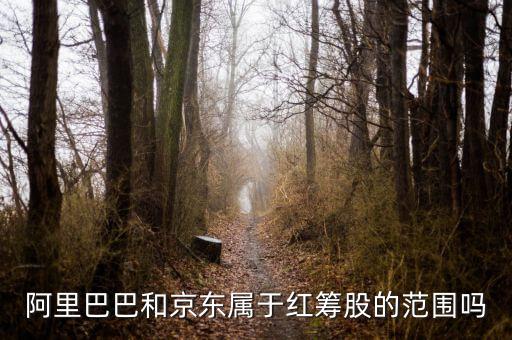 紅籌股是什么意思，權重股紅籌股