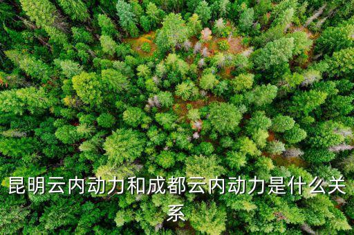 云南云內(nèi)動(dòng)力是什么性質(zhì)，什么是云內(nèi)發(fā)動(dòng)機(jī)